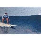 Diana Epstein's photo