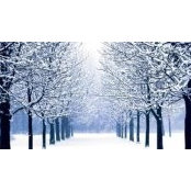 April Holtz's photo