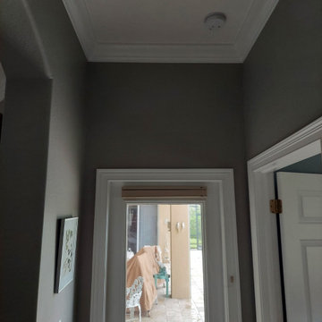 Venetian Golf & Country Club Home Interior Painting