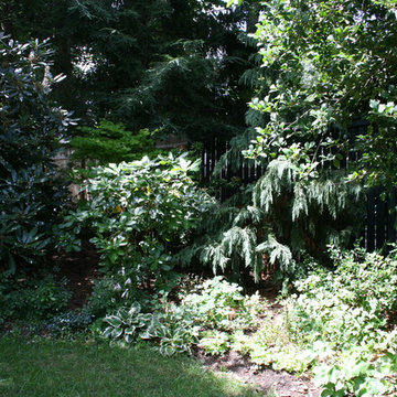 Screening the Urban Back Yard