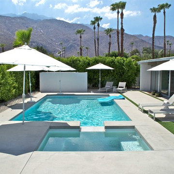 Palm Springs Wexler Redesign