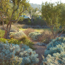 Mederterian gardens