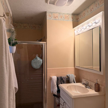 Bathroom Upgrade