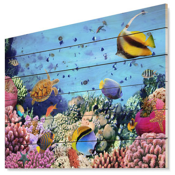 Designart Coral Colony Reef Egypt Animal Wood Wall Art 46x36