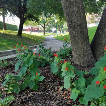 HOA Parks for Pollinators