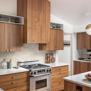 Cohesive Mid-Century Modern Interior Remodel in Ann Arbor, Michigan