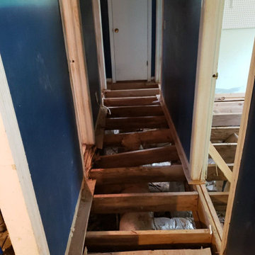 Termite Damage Renovation