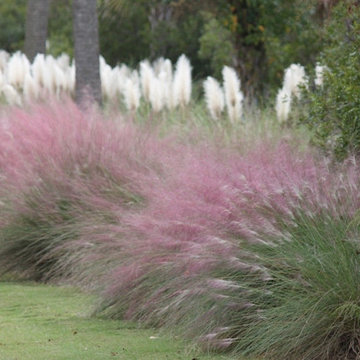 Native Landscapes