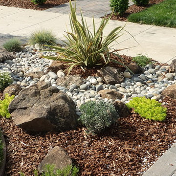 Low Water Gardens