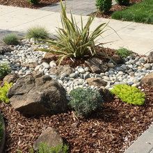 ed landscaping