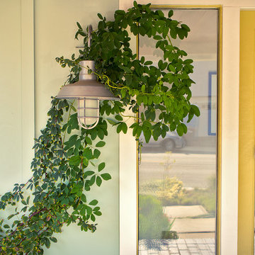 Entry with vine and industrial light fixture