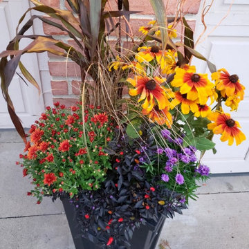 Fall/ Halloween Container Gardens