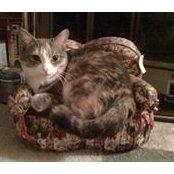 Debra Colley's photo