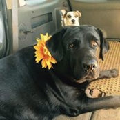 Susan Allyn's photo