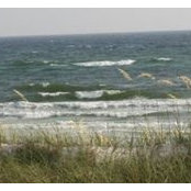 Pat McCarthy's photo