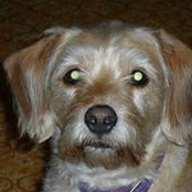 Kathleen Larson's photo