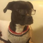 Stephanie Whitmer's photo
