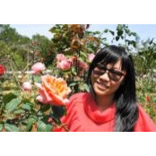 Nguyen Hong Phucさんの写真