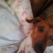 Michelle Gabaldon's photo