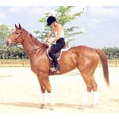 Diana Pulice's photo