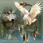 Kelli Whan's photo