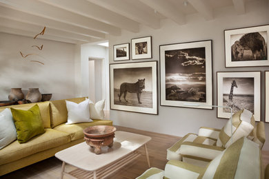 Living room - mid-sized contemporary formal and open concept light wood floor and brown floor living room idea in Albuquerque with white walls, a standard fireplace and a plaster fireplace