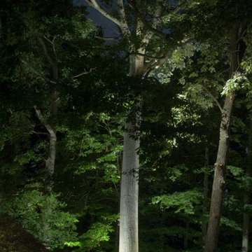 Burlington Woodland Retreat