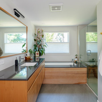 Primary Suite Redesign