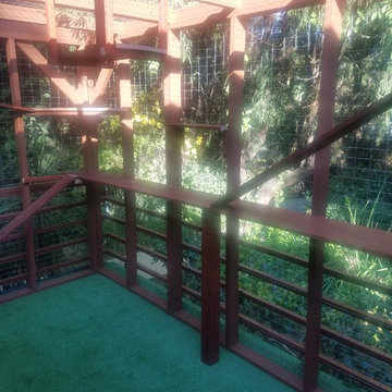 Los Angeles Catio