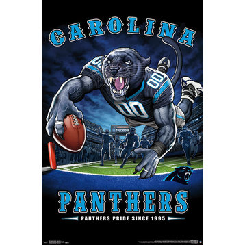 Carolina Panthers End Zone Poster, Premium Unframed