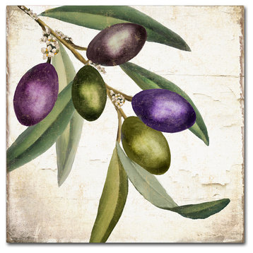 Color Bakery 'Olive Branch I' Canvas Art, 24x24