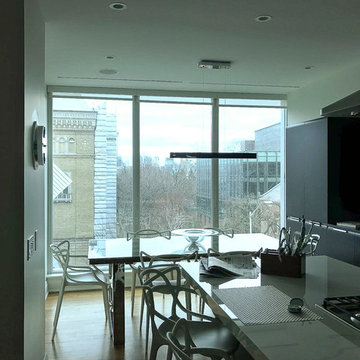 Modern Bloor Penthouse