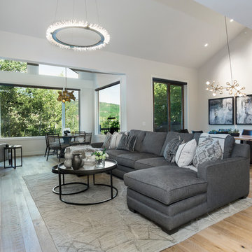 Silver Lake Townhome