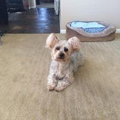 Tina Thrash's photo