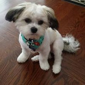 Steve Vlahos's photo