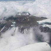 Caroline Puzey's photo