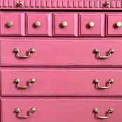 Brandi Owens's photo