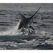 Jan Talley's photo