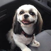 Lisa Sampson's photo