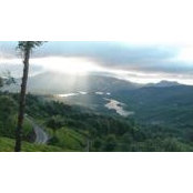 Mamta Rawat's photo
