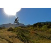David Matthews foto