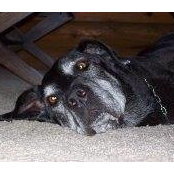 Brenda Teig's photo