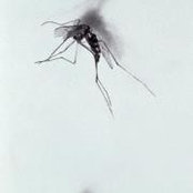 Mahtab Akhavan's photo