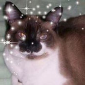 Pamela Dechnik's photo
