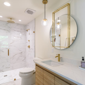 Whole House Remodel