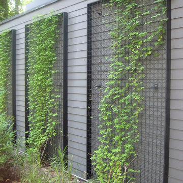 Contemporary Chevy Chase Garden