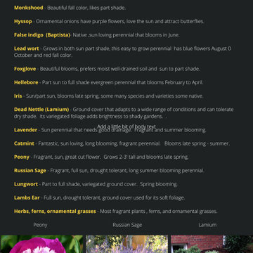 Landscaping tips and resources