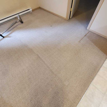 Move-out Carpet Steam Cleaning Service of Basment Suite in Coquitlam BC Canada
