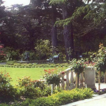 Portofolio