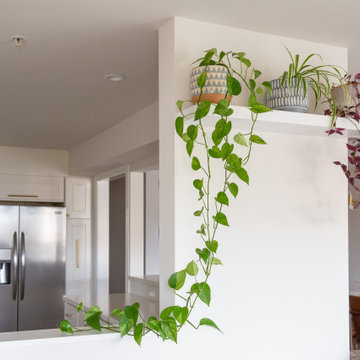 Outer Richmond Kitchen 2